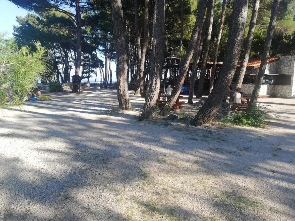Iva/Sepac 1 Διαμέρισμα Krk Town Εξωτερικό φωτογραφία